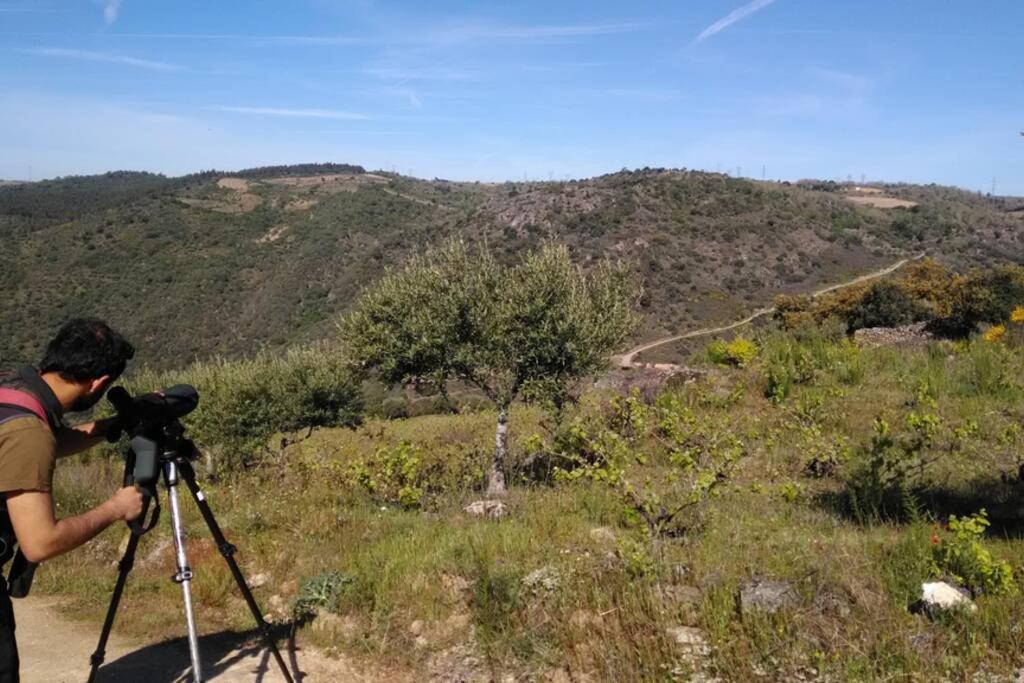 Refugio Do Douro Guest House Bemposta  Exterior foto