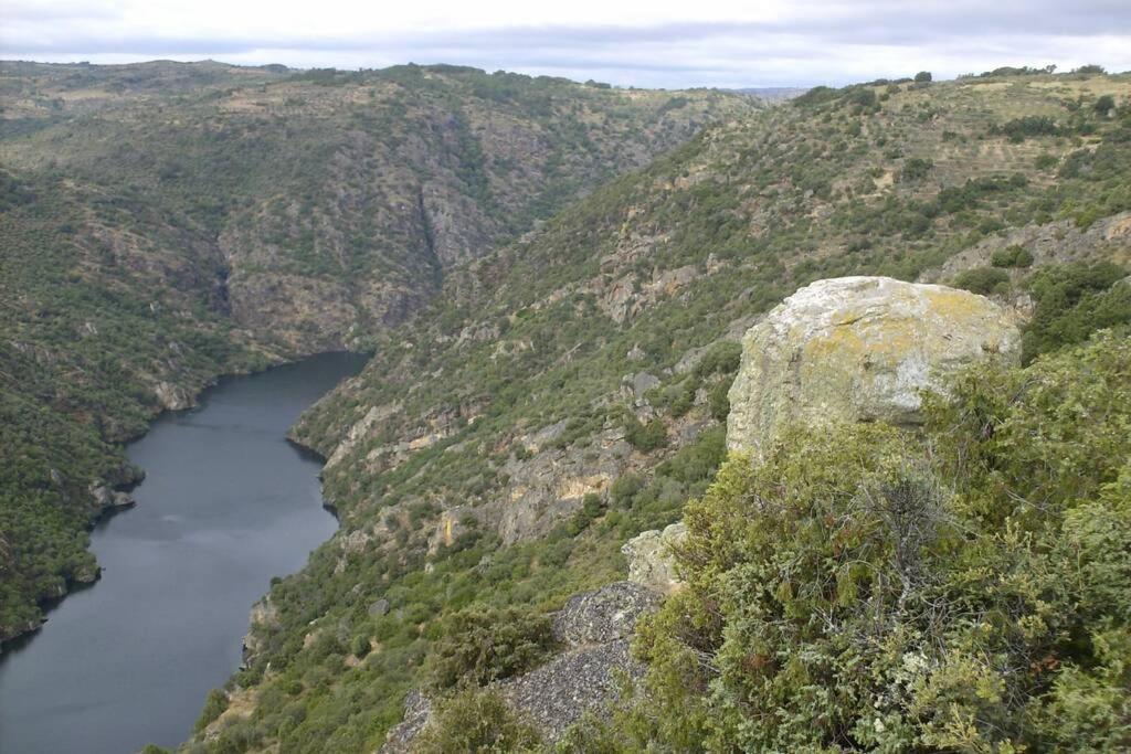 Refugio Do Douro Guest House Bemposta  Exterior foto